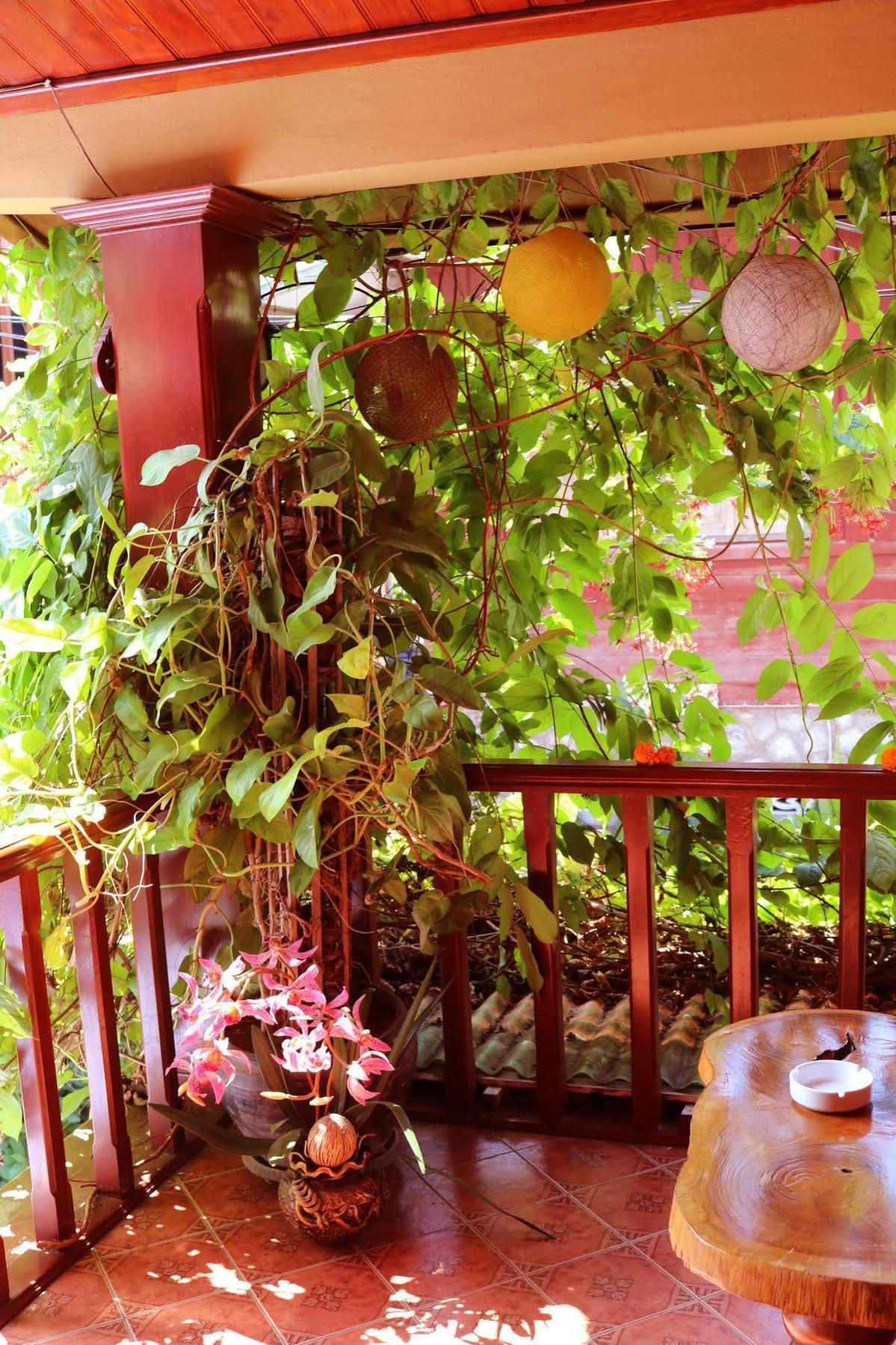Apple Guesthouse Luang Prabang Exterior photo